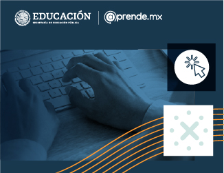 Espacio virtual de aprendizaje en MéxicoX EVDA24025X