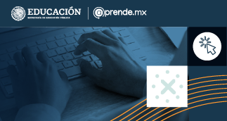 Espacio virtual de aprendizaje en MéxicoX EVDA22061X